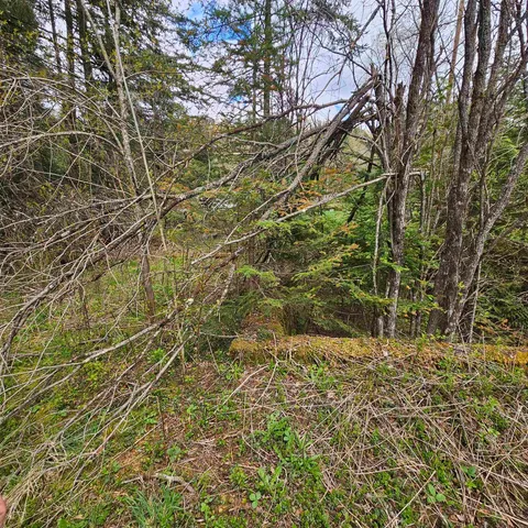 $74,900 | 3839 Us Route 5, Sutton, VT 05867