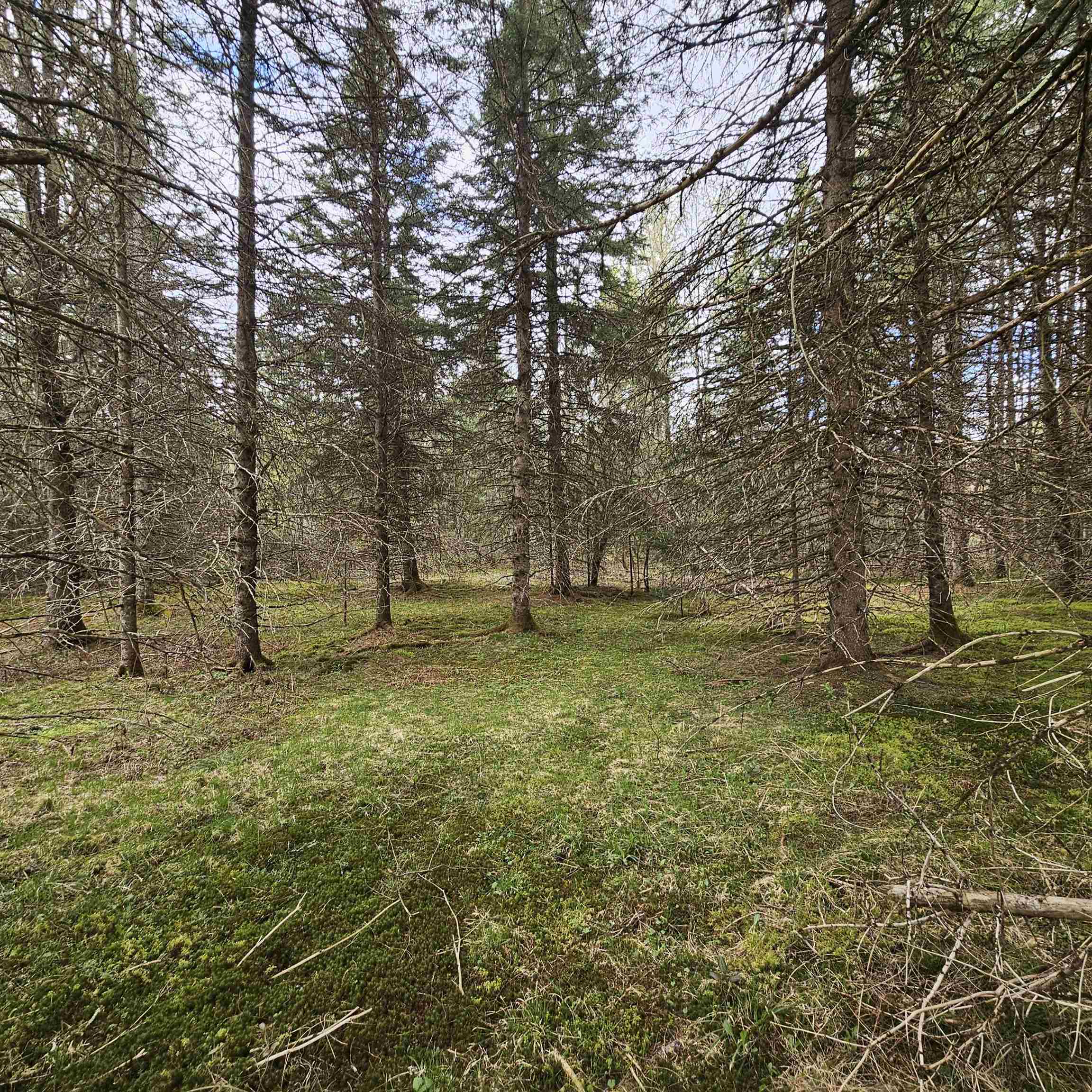 3839 Us Route 5 Sutton, VT 05867 - Photo 4 of 10