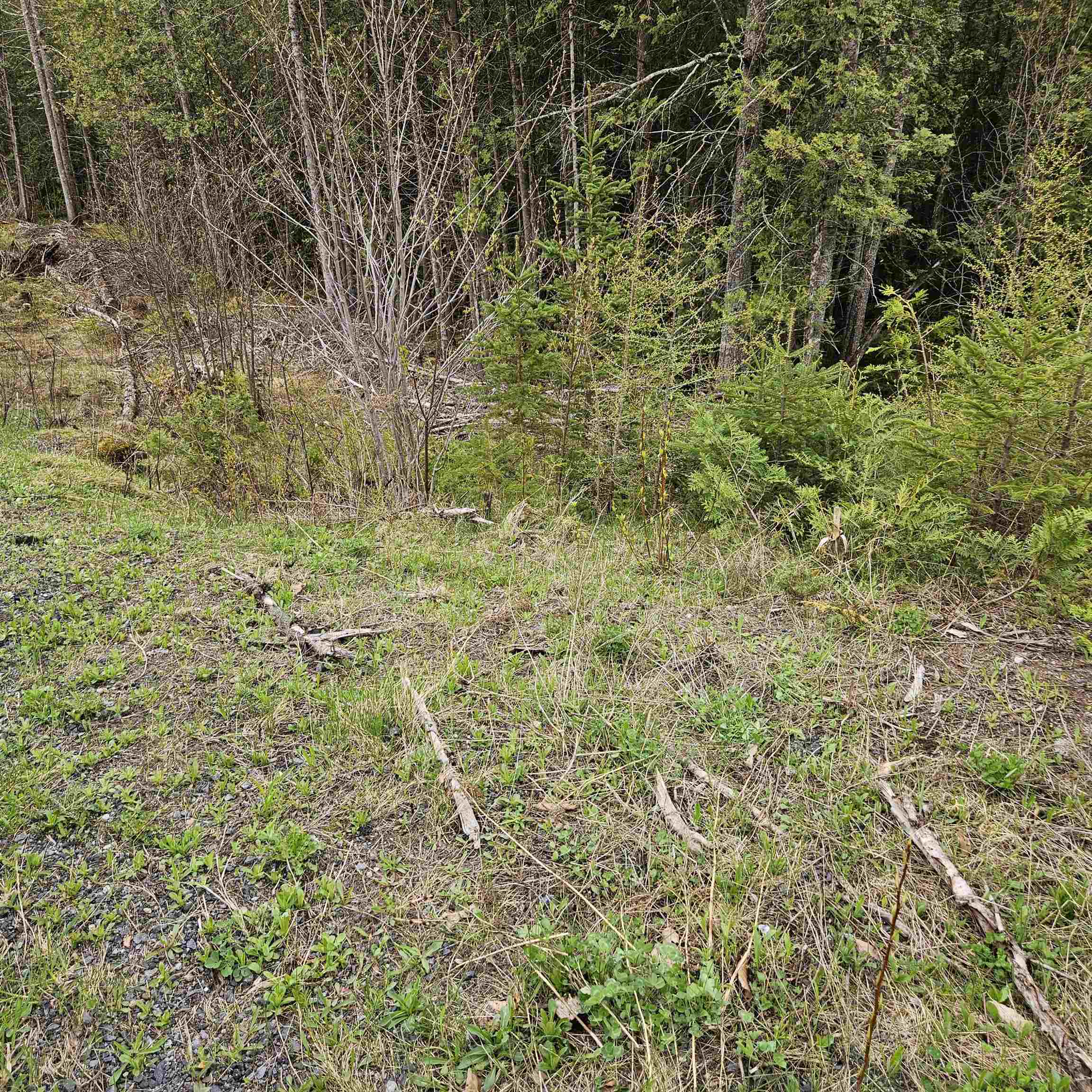 3839 Us Route 5 Sutton, VT 05867 - Photo 6 of 10