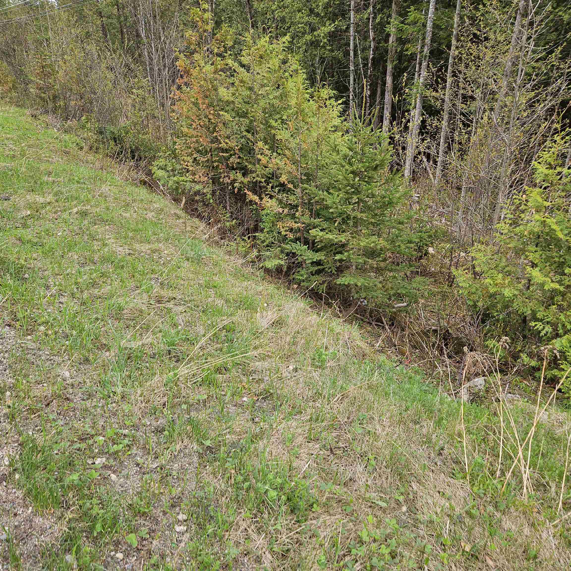 3839 Us Route 5 Sutton, VT 05867 - Photo 7 of 10