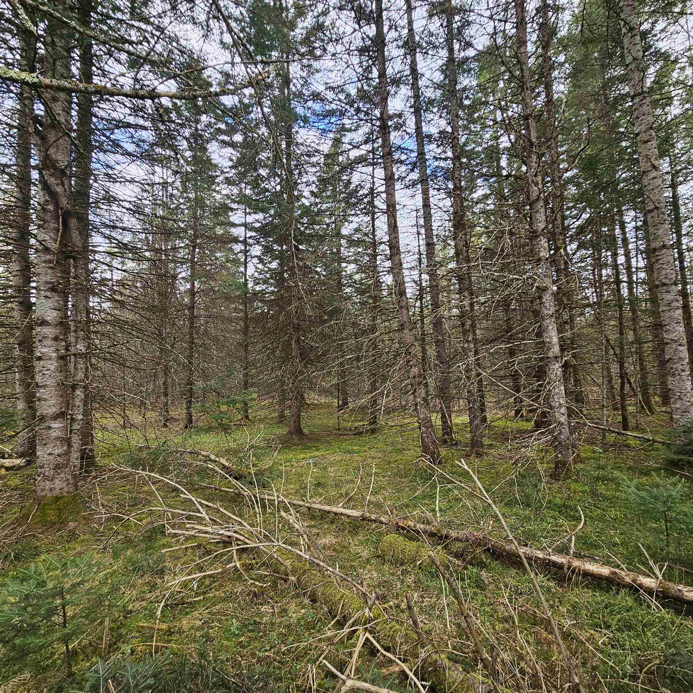 3839 Us Route 5 Sutton, VT 05867 - Photo 8 of 10