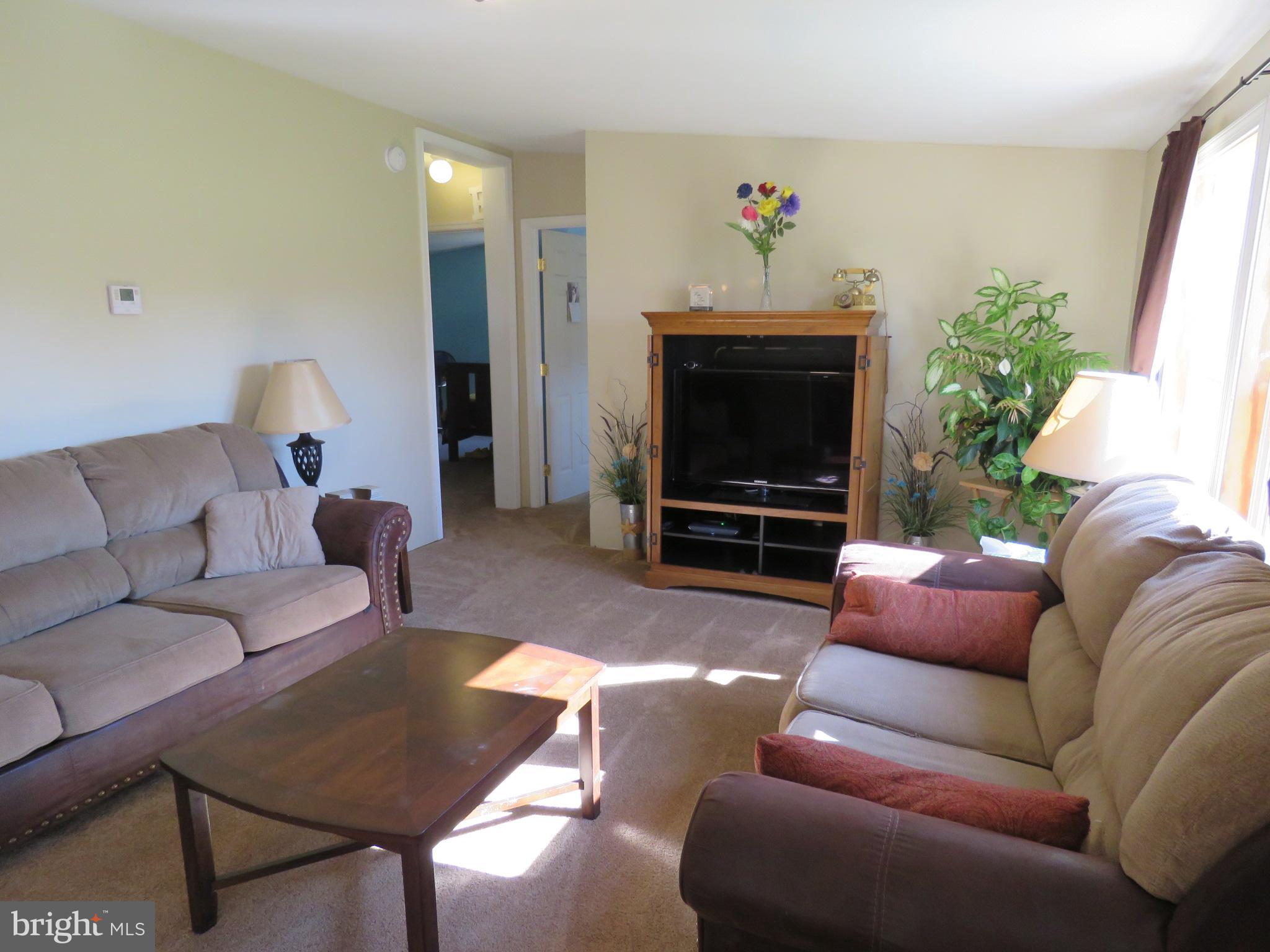 1222 Slaughter Station Road Hartly, DE 19953 - Photo 4 of 57 Living Room