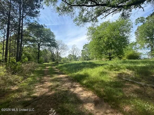 $69,500 | Mt Zion Lane, Sontag, MS 39665