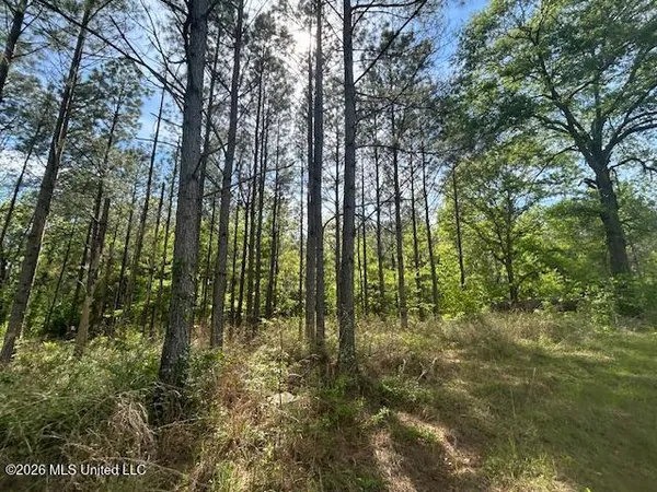 $69,500 | Mt Zion Lane, Sontag, MS 39665