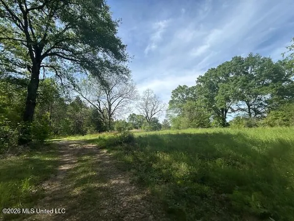 $69,500 | Mt Zion Lane, Sontag, MS 39665