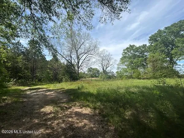 $69,500 | Mt Zion Lane, Sontag, MS 39665