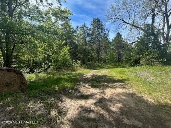 $69,500 | Mt Zion Lane, Sontag, MS 39665