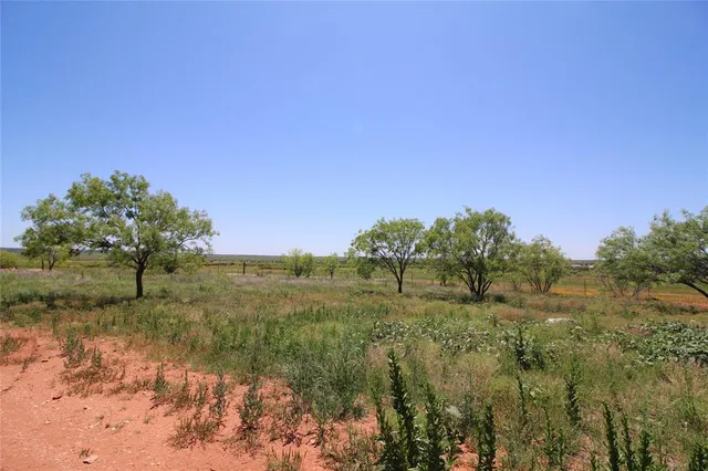 a view of a field with trees in background