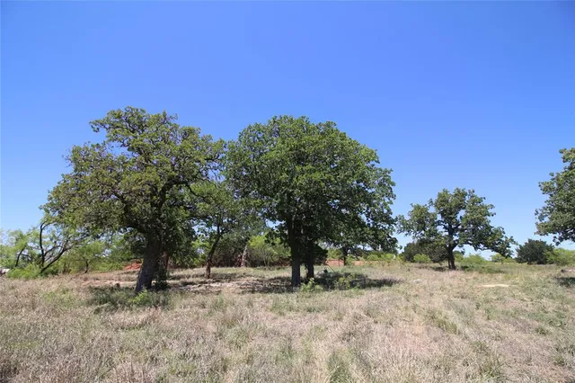 a backyard of a house with lots of trees