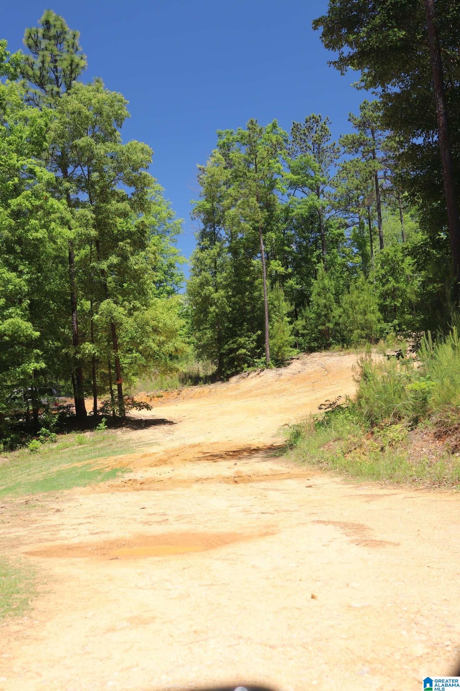 2930 Shocco Springs Road Talladega, AL 35160 - Photo 92 of 93