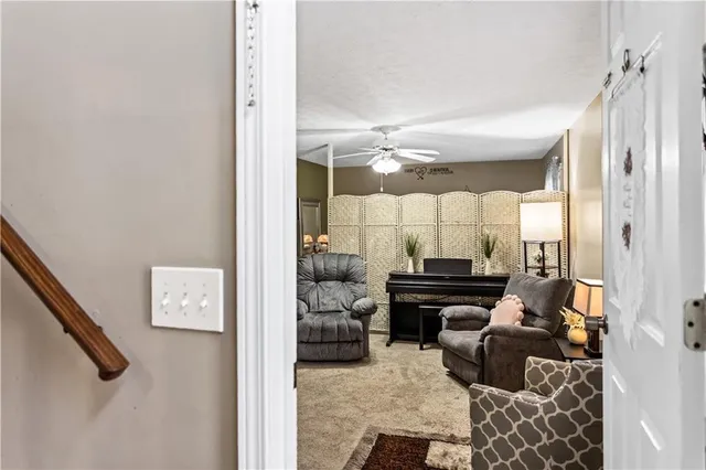 a view of a park with large trees