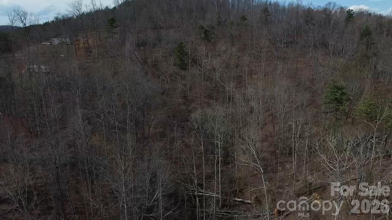 4960 Singleton Drive Morganton, NC 28655 - Photo 12 of 14 a view of a forest