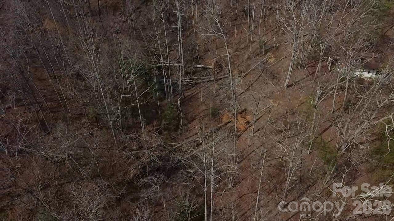 4960 Singleton Drive Morganton, NC 28655 - Photo 14 of 14 a view of a dry yard