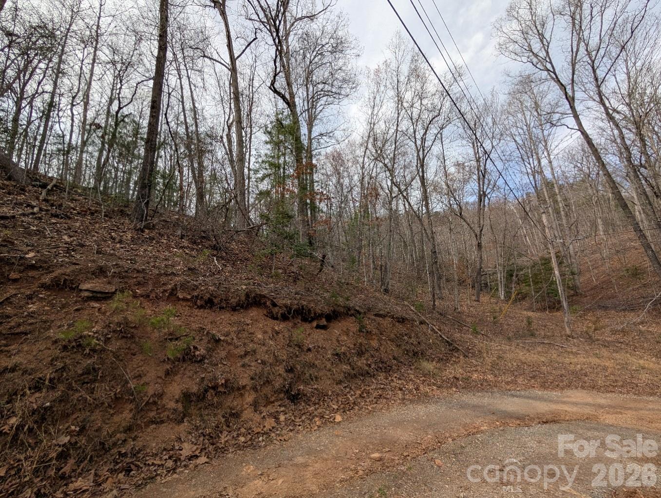 4960 Singleton Drive Morganton, NC 28655 - Photo 3 of 14 a view of a forest with trees in the background