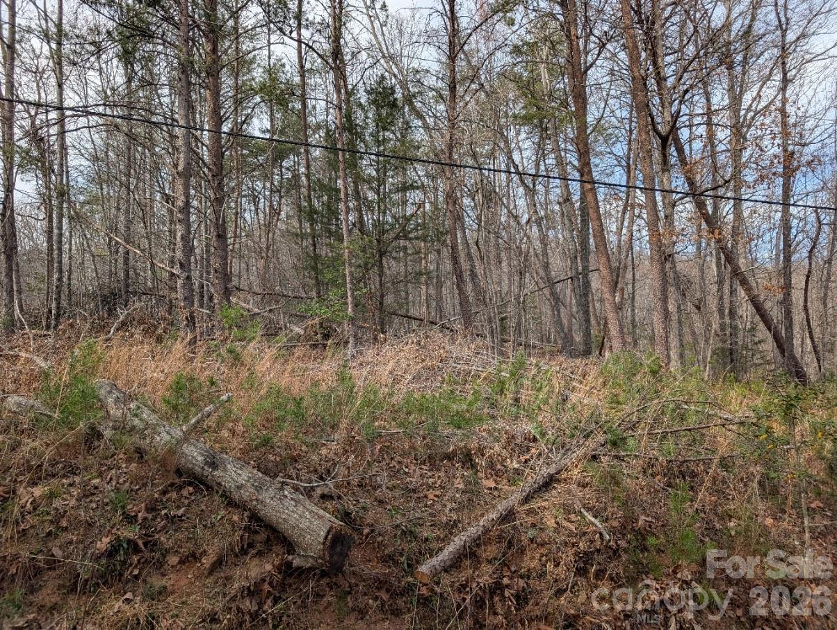 4960 Singleton Drive Morganton, NC 28655 - Photo 4 of 14