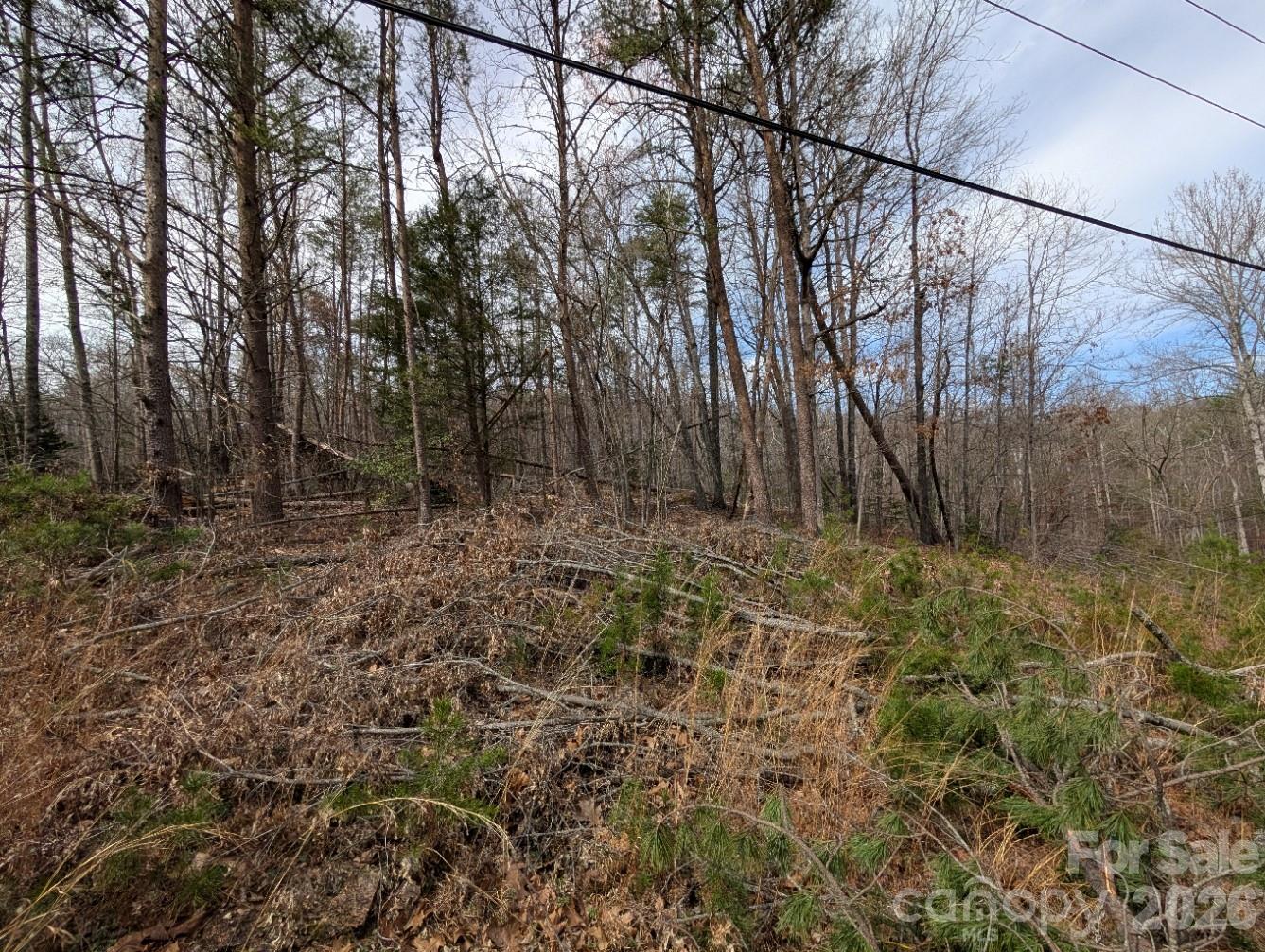 4960 Singleton Drive Morganton, NC 28655 - Photo 6 of 14