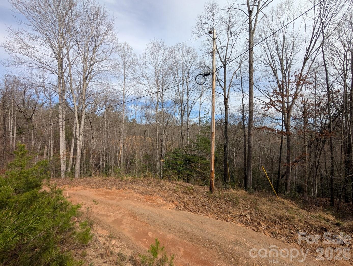 4960 Singleton Drive Morganton, NC 28655 - Photo 7 of 14 a view of outdoor space with trees