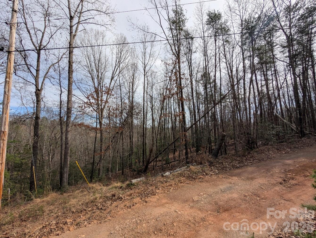 4960 Singleton Drive Morganton, NC 28655 - Photo 8 of 14 a view of backyard with white house and trees