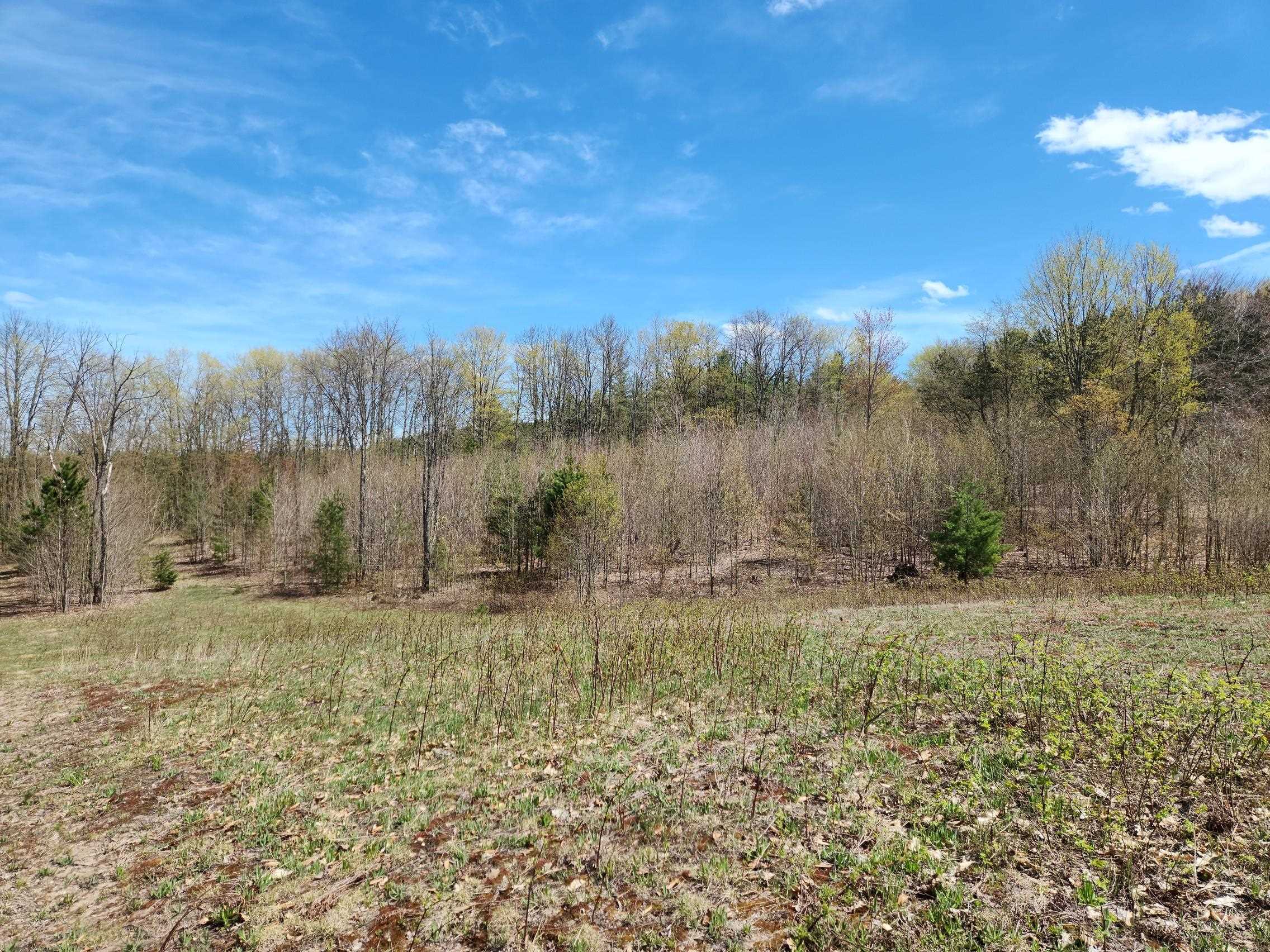 7777 Henschell Road Southwest South Boardman, MI 49680 - Photo 23 of 31