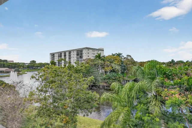 a view of a yard with plants and trees