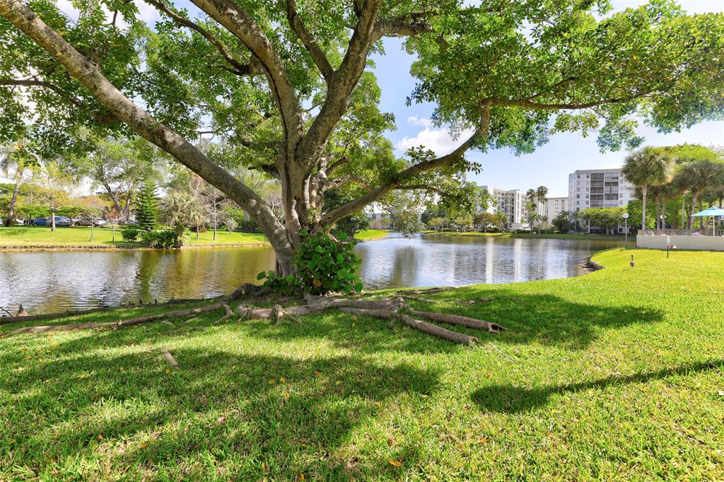 2236 North Cypress Bend Drive, Unit 508 Pompano Beach, FL 33069 - Photo 40 of 69 a view of a lake with a big yard and large trees