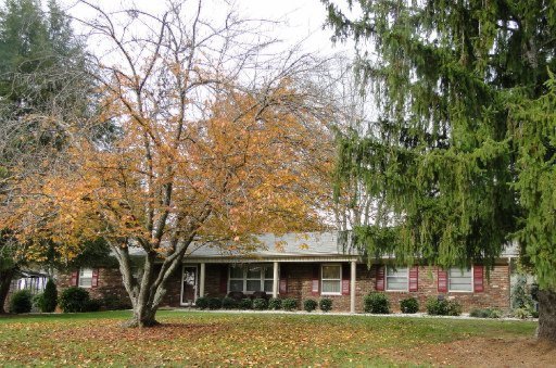 733 Schenley Road Knoxville, TN 37923 - Photo 1 of 1 Primary Photo