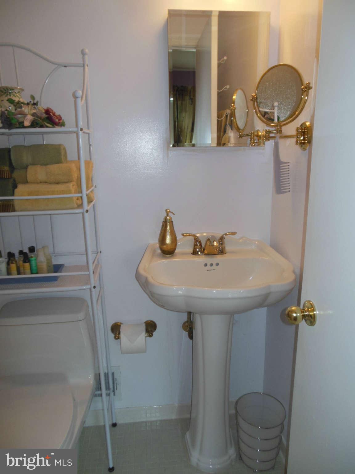 1608 Arbor View Road Silver Spring, MD 20902 - Photo 26 of 28 a bathroom with a sink and a mirror