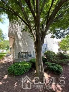 a tree in the middle of a yard