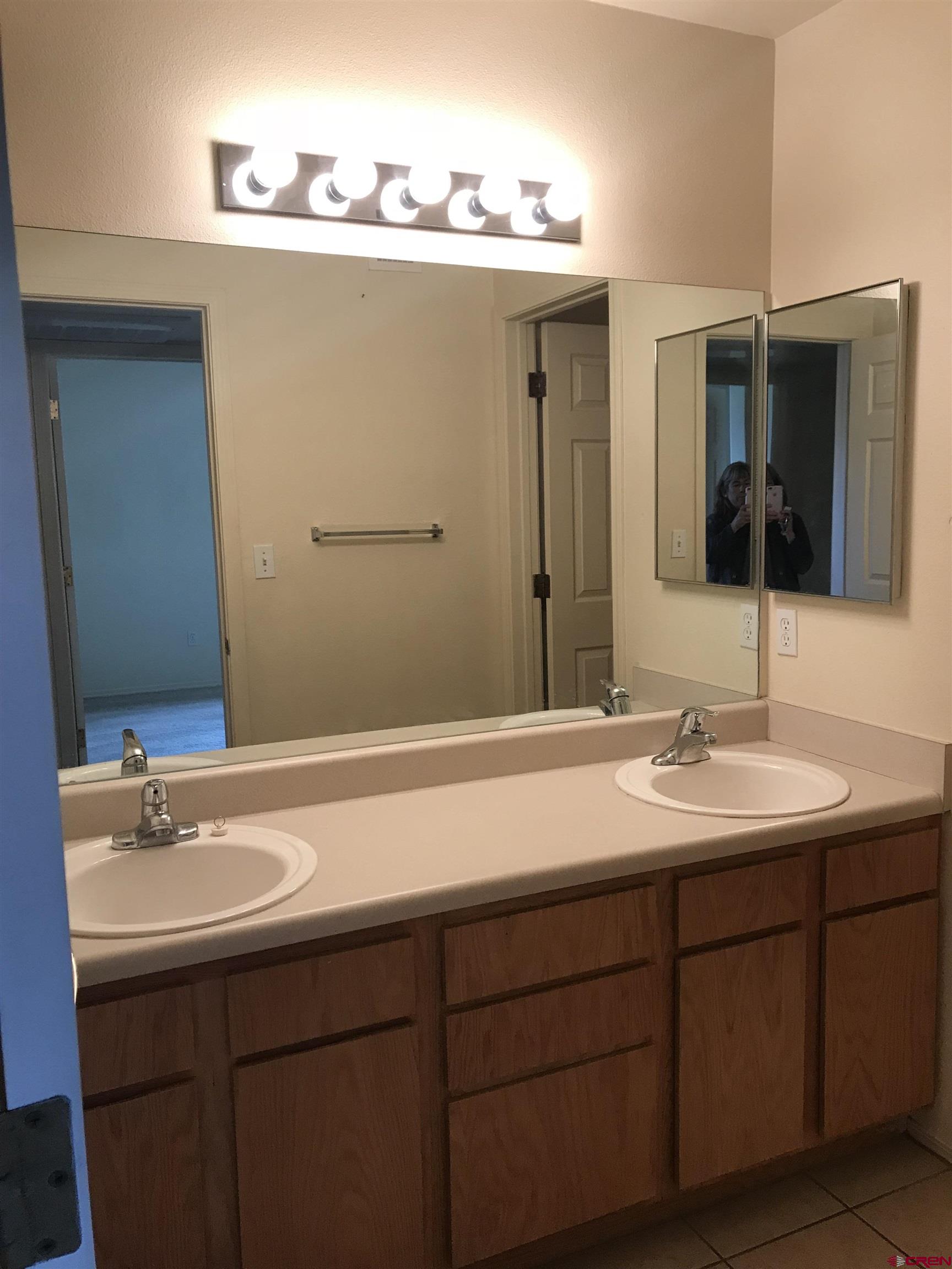 1100 Goeglein Gulch Road, Unit 254 Durango, CO 81301 - Photo 7 of 11