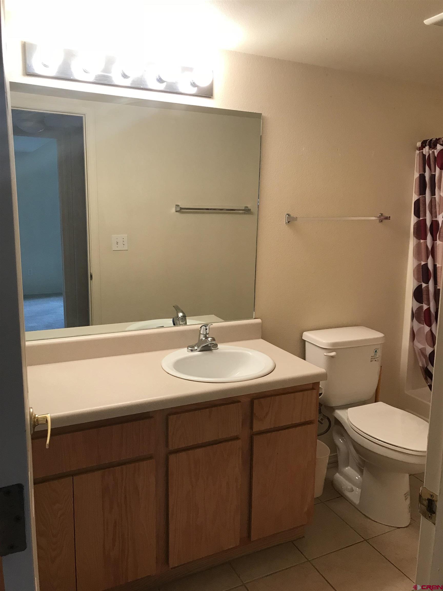 1100 Goeglein Gulch Road, Unit 254 Durango, CO 81301 - Photo 10 of 11