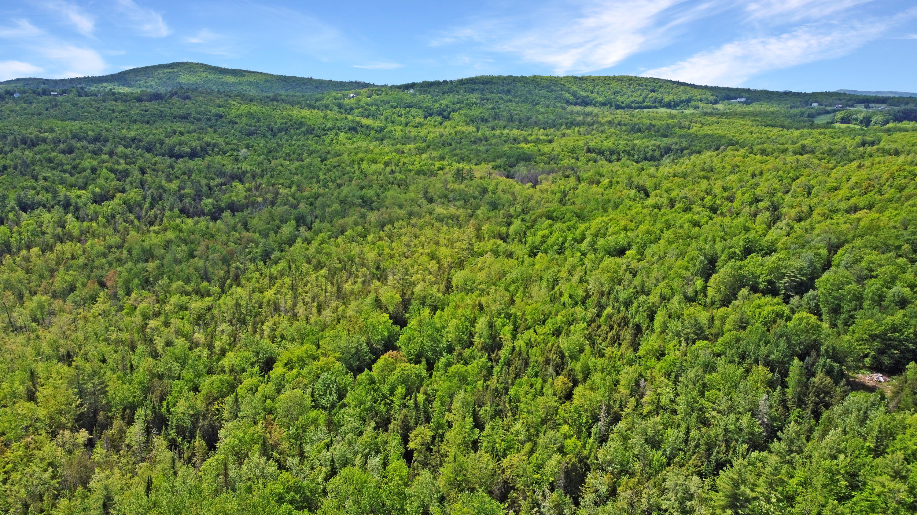 DJI_0605