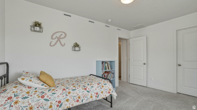 1418 Castillo Road Spanish Fork, UT 84660 - Photo 18 of 40