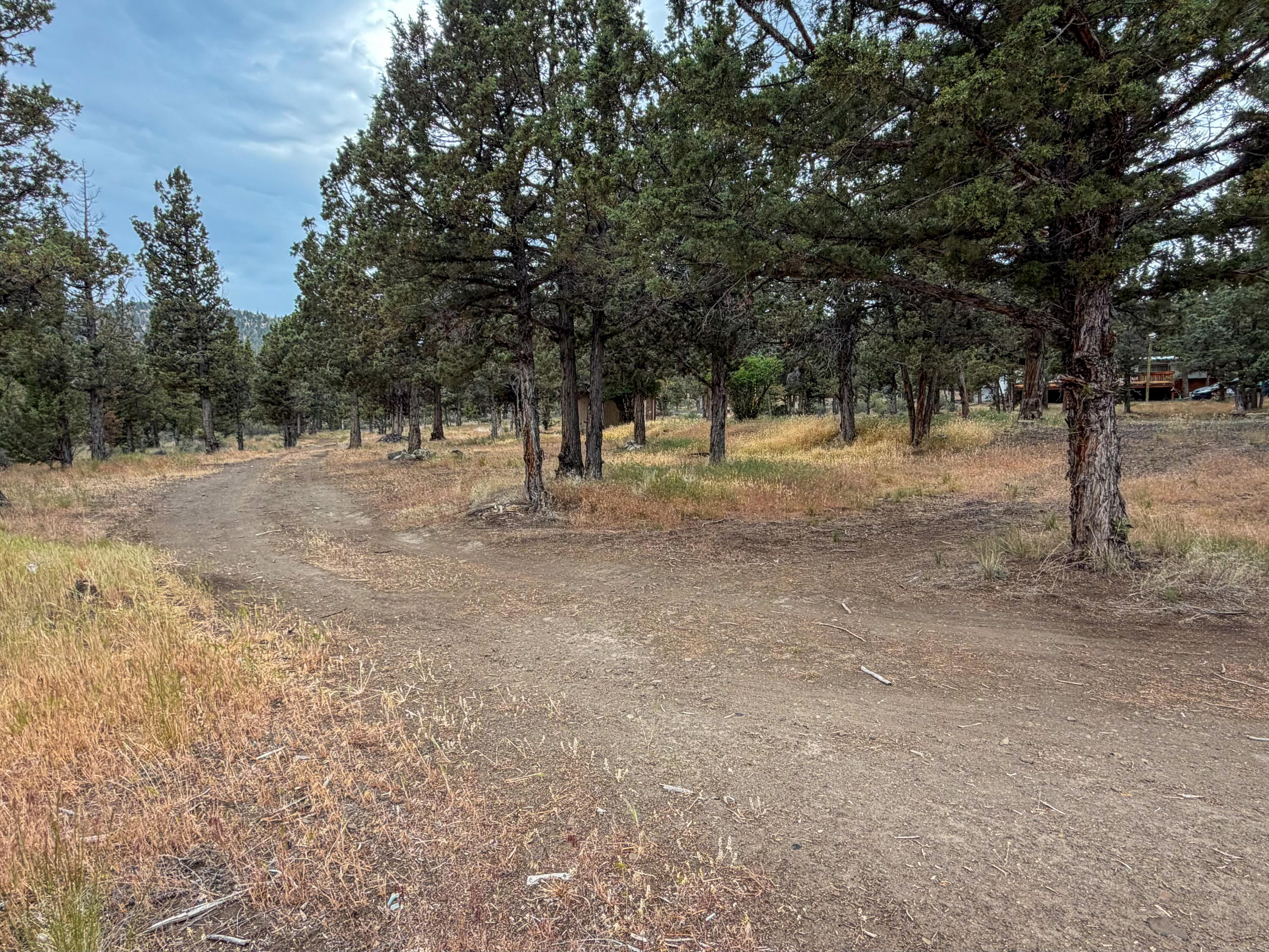 14375 Southeast Juniper Canyon Road Prineville, OR 97754 - Photo 9 of 10 a view of dirt yard with trees