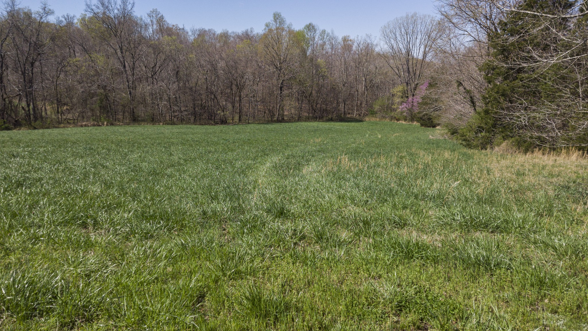 1019 Palmyra Road Clarksville, TN 37040 - Photo 1 of 19 Gallery Image 1