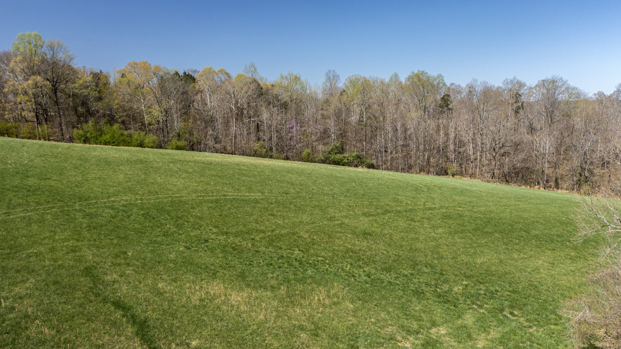 1019 Palmyra Road Clarksville, TN 37040 - Photo 14 of 19 Gallery Image 14