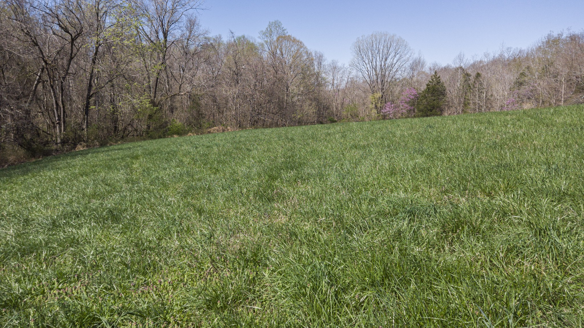1019 Palmyra Road Clarksville, TN 37040 - Photo 16 of 19 Gallery Image 16