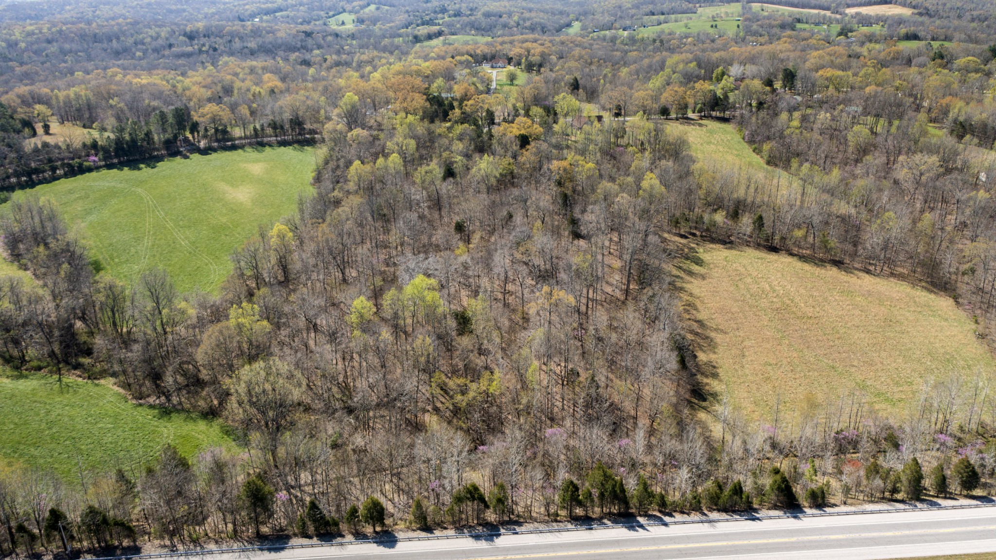 1019 Palmyra Road Clarksville, TN 37040 - Photo 7 of 19 Gallery Image 7