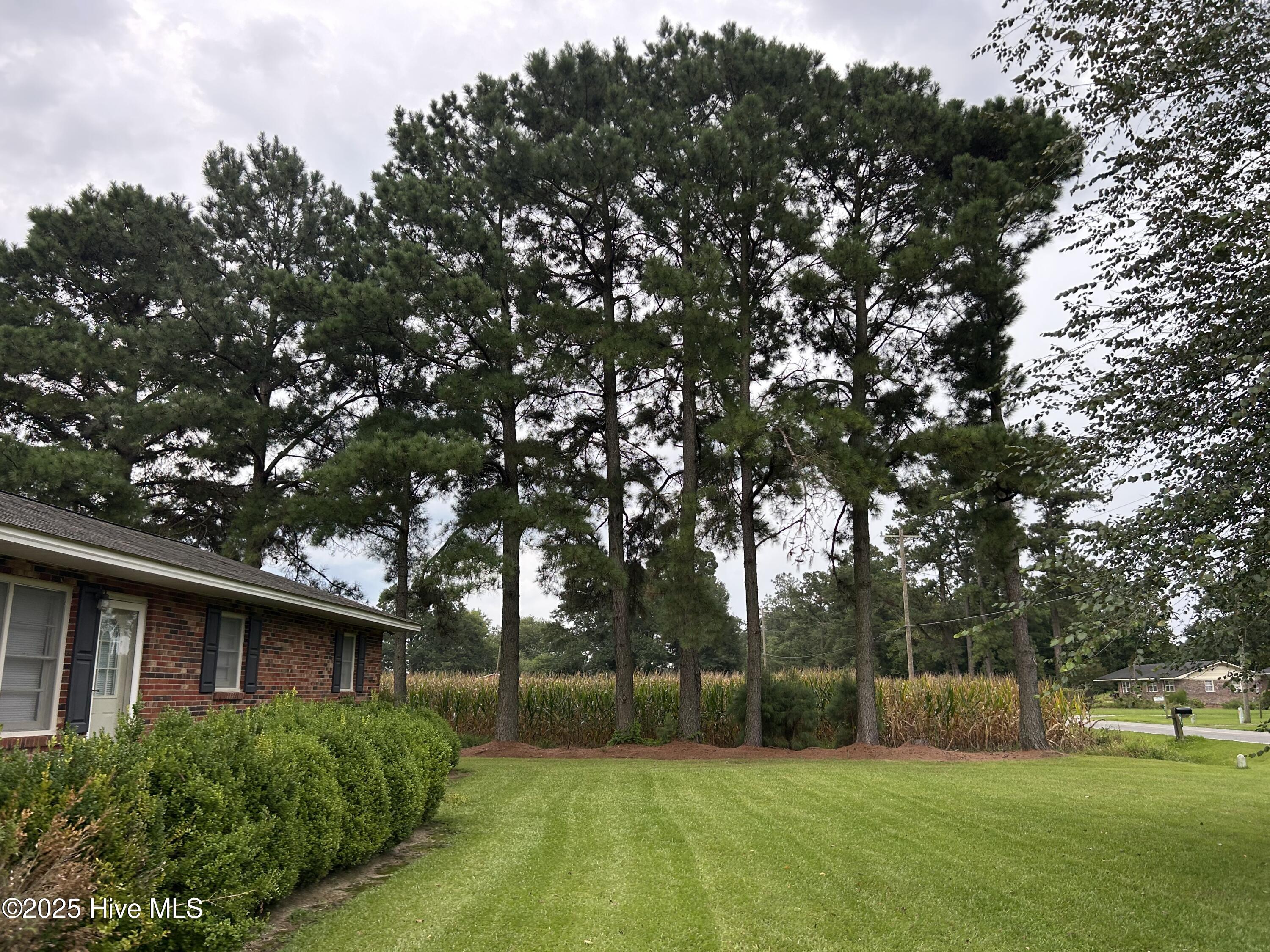 917 Jackson Store Road Beulaville, NC 28518 - Photo 7 of 10 IMG_4718