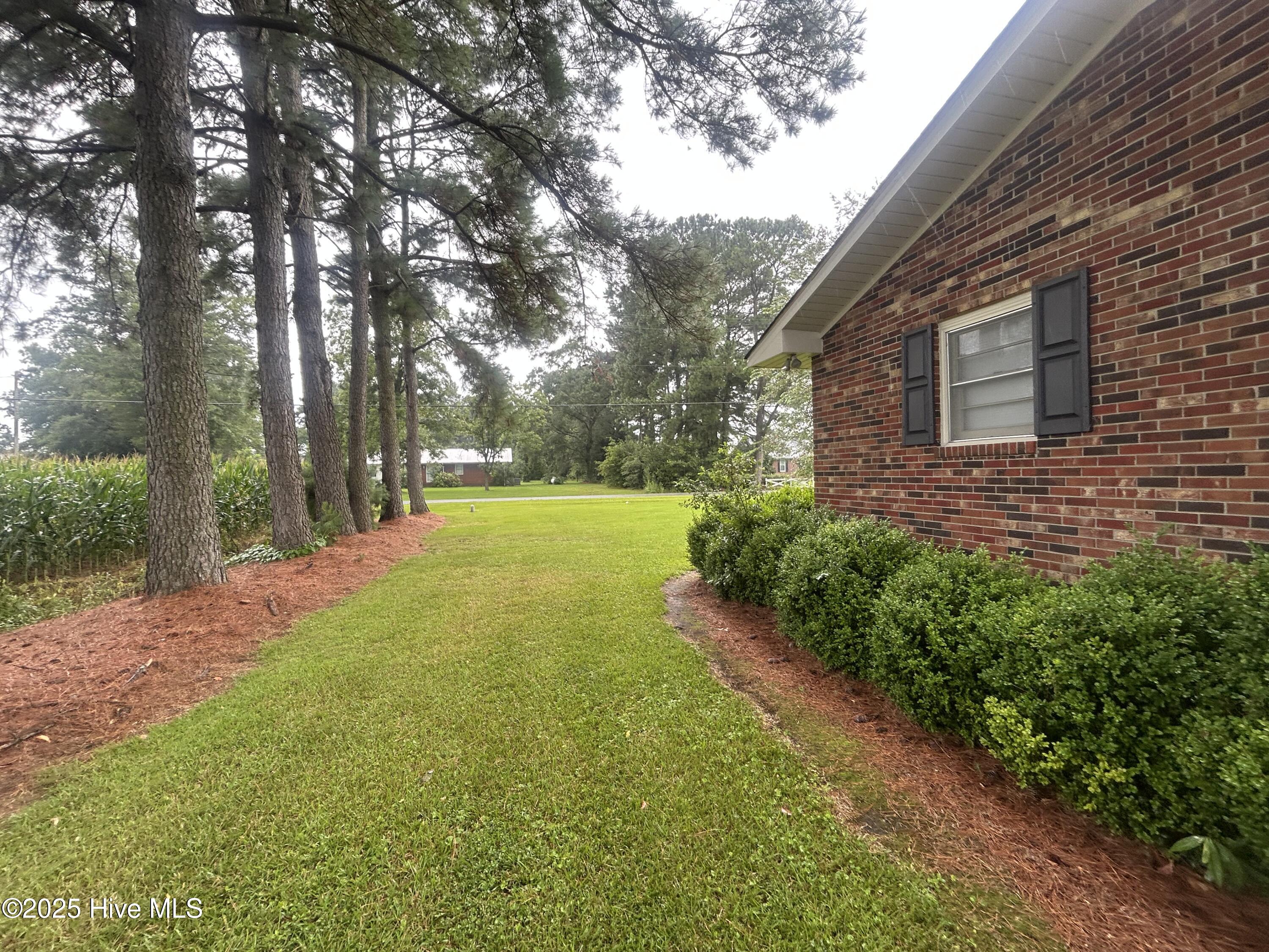 917 Jackson Store Road Beulaville, NC 28518 - Photo 8 of 10 IMG_4444