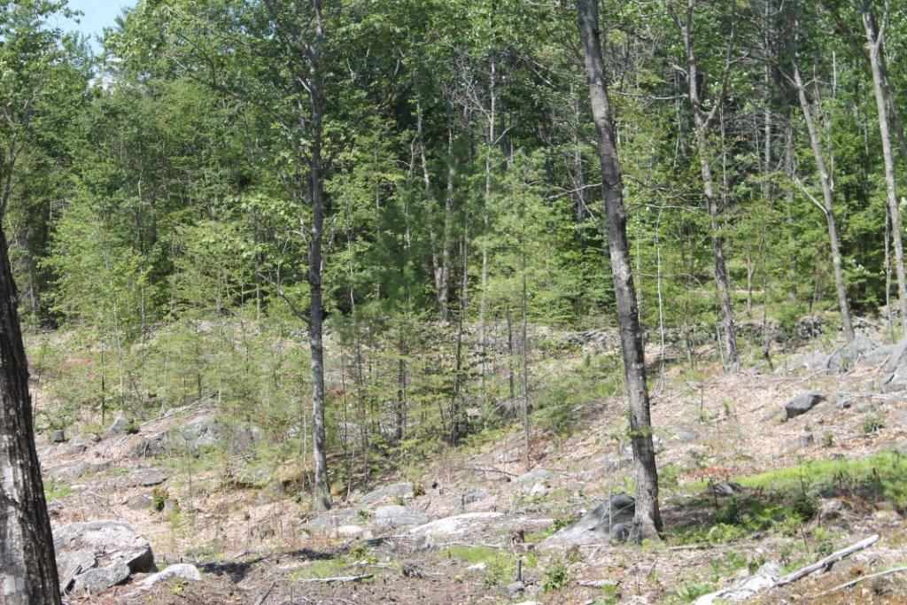 1 Chase Road New Hampton, NH 03256 - Photo 7 of 19