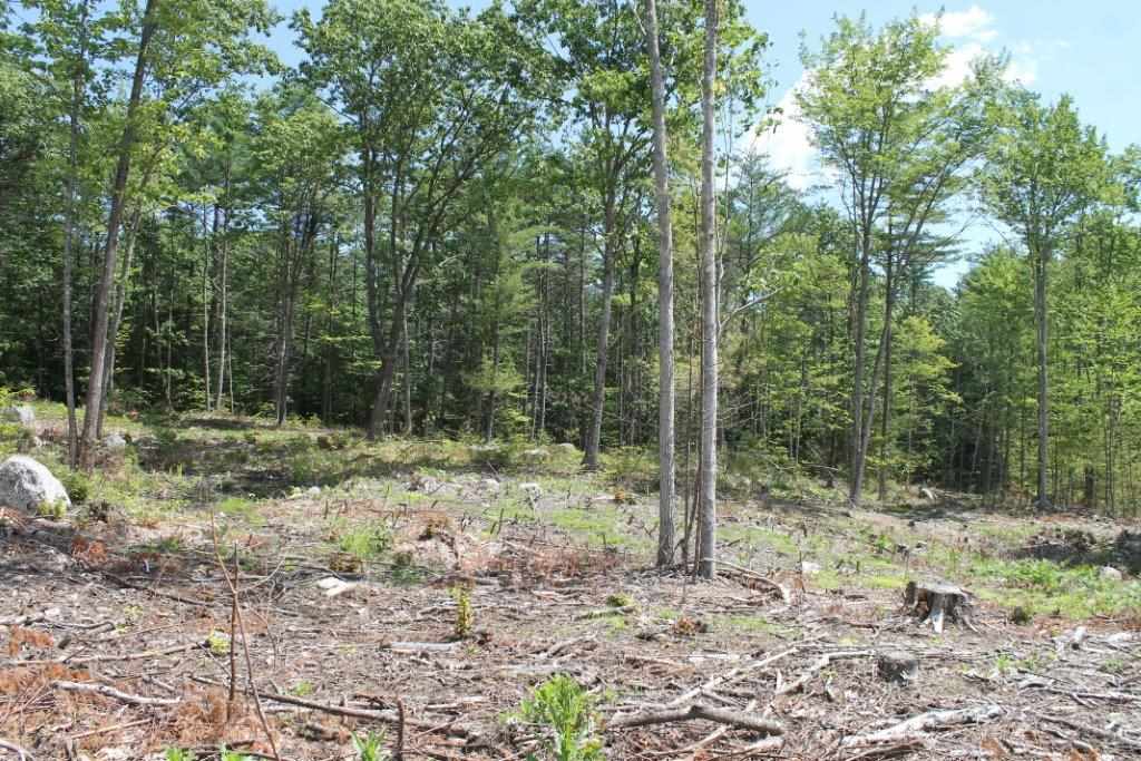 1 Chase Road New Hampton, NH 03256 - Photo 8 of 19