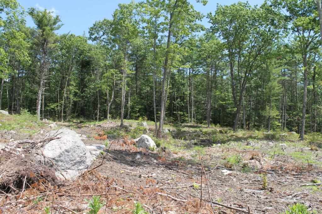 1 Chase Road New Hampton, NH 03256 - Photo 9 of 19