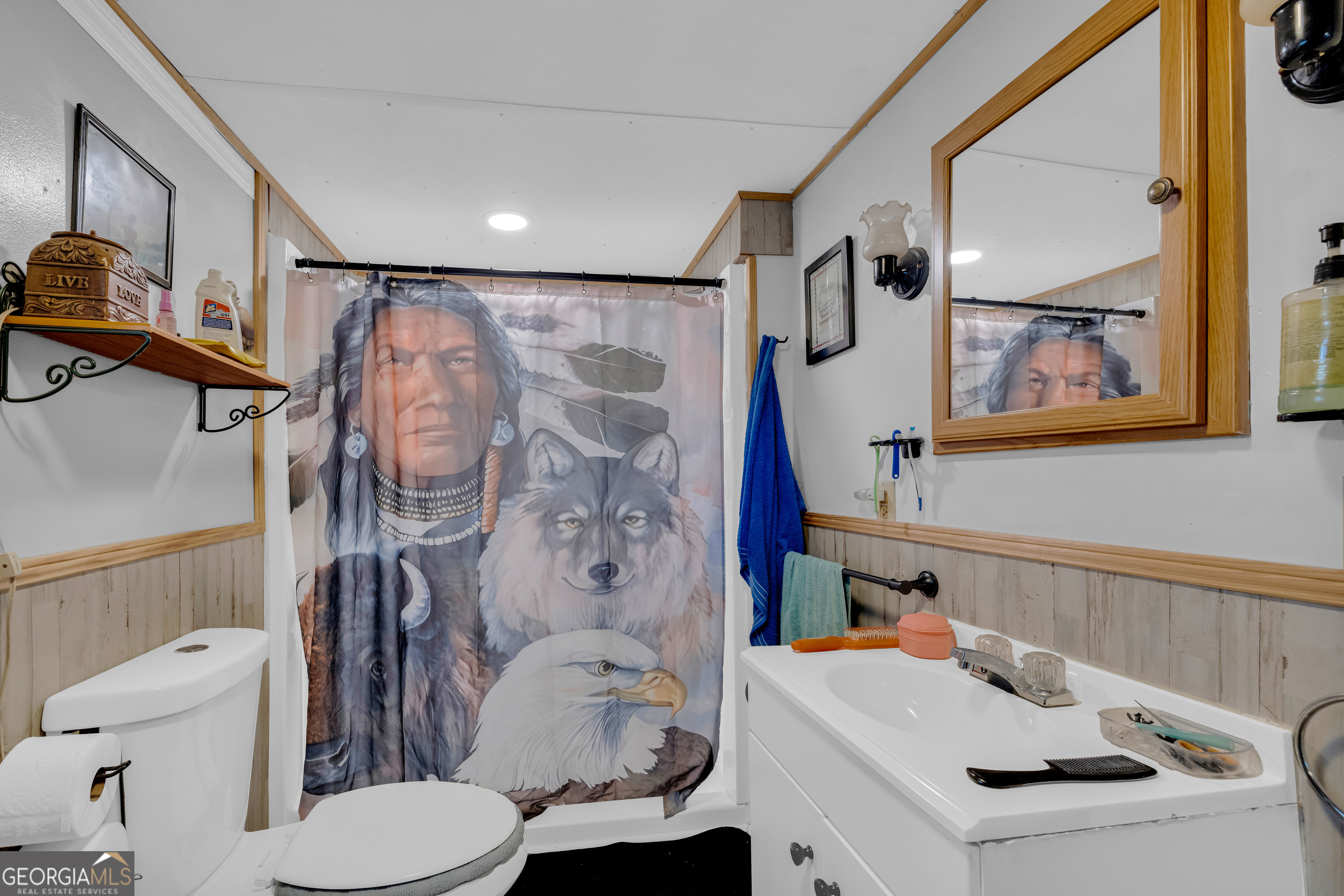 180 Liberty Circle Hartwell, GA 30643 - Photo 53 of 58 a bathroom with a sink toilet and shower