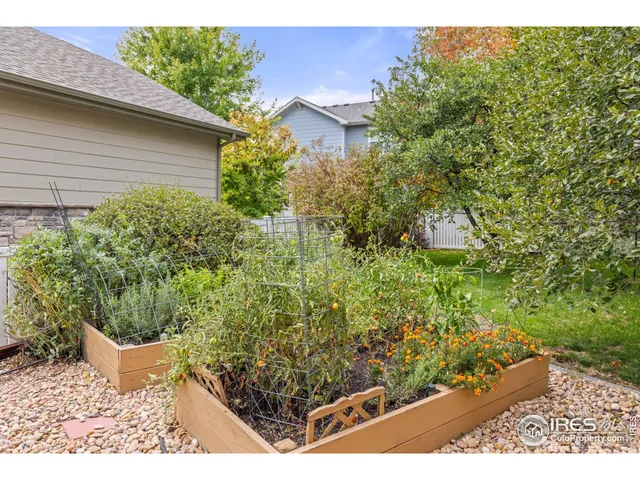a view of a backyard with plants
