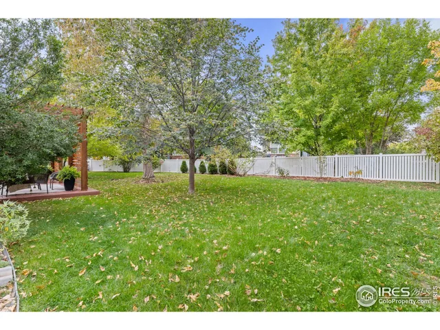 a view of a yard with an tree