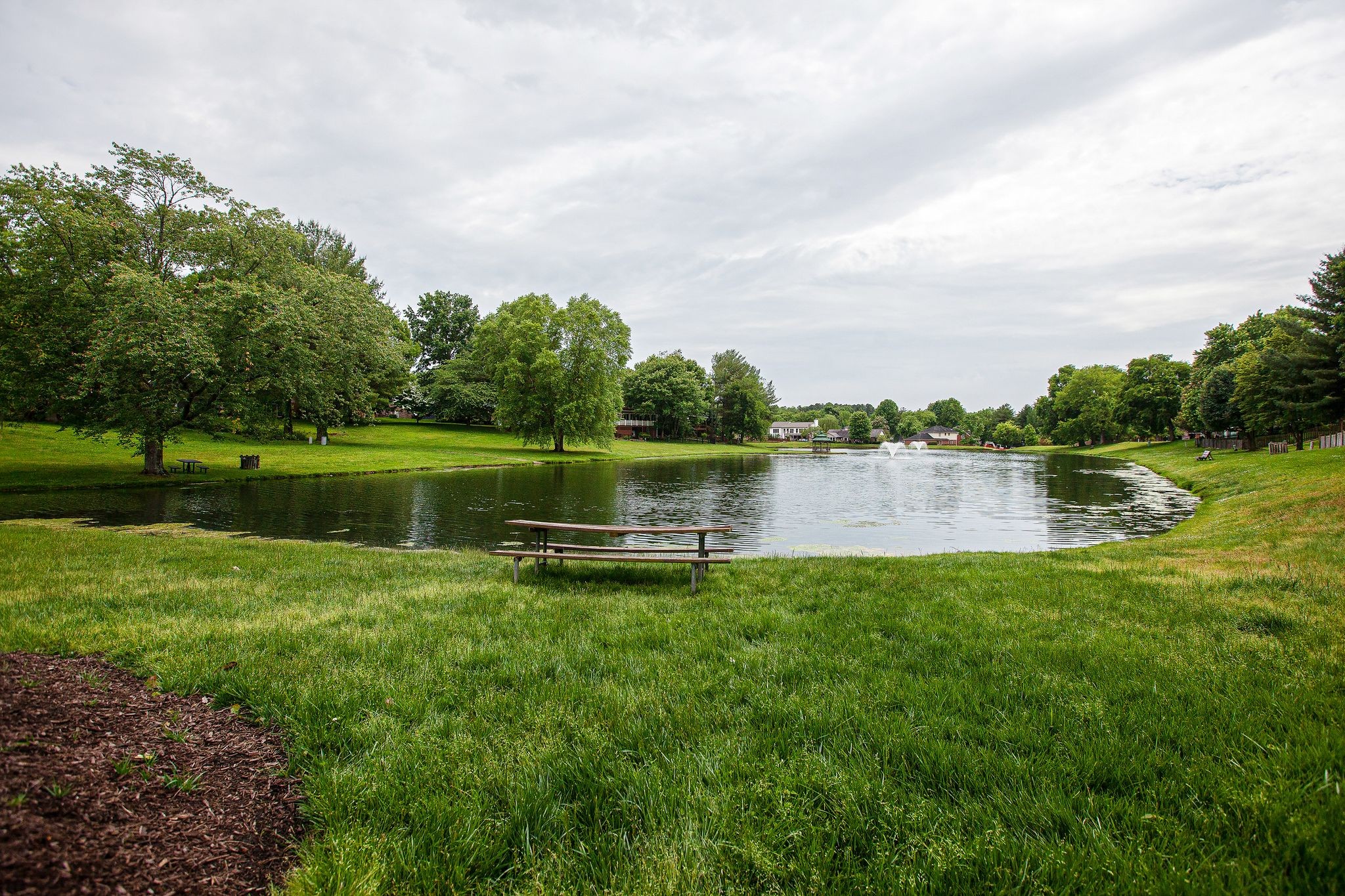697 Watson Branch Drive Franklin, TN 37064 - Photo 31 of 36 a view of a lake with a big yard