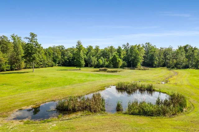 a big yard with lots of green space and deers