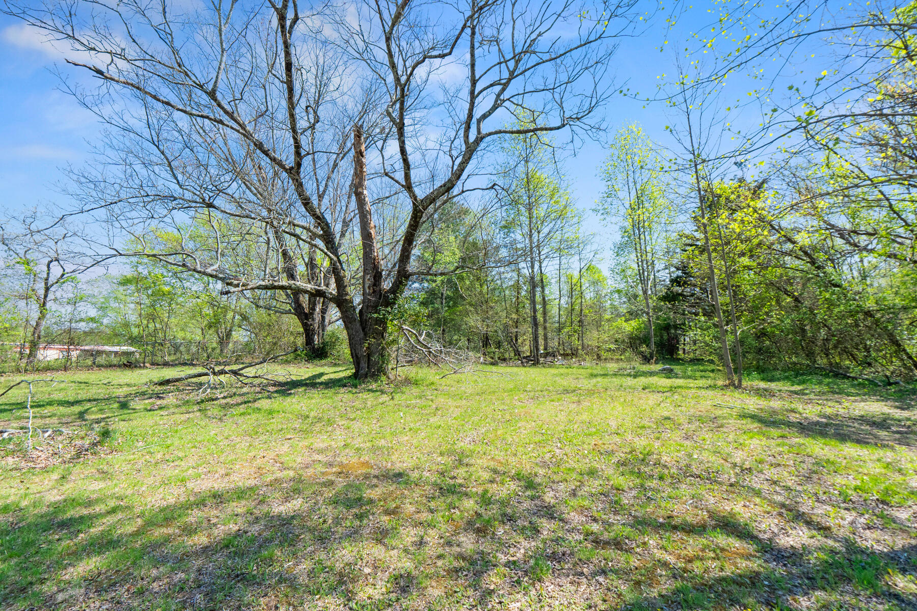 0 Grayson Way Signal Mountain, TN 37377 - Photo 4 of 7 dsc00878