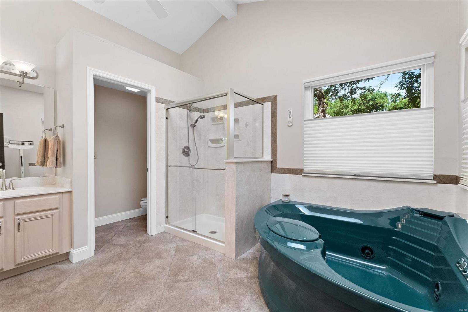 16046 Forest Valley Drive Ballwin, MO 63021 - Photo 27 of 54