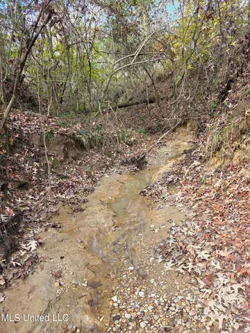 $99,000 | Tate Road, Natchez, MS 39120